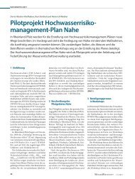 Pilotprojekt Hochwasserrisiko managementPlan Nahe