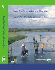 SDF_Buch_German_Teil1.pdf