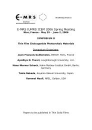 E-MRS IUMRS ICEM 2006 Spring Meeting