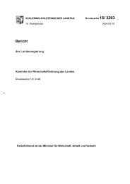 Bericht - Landtag des Landes Schleswig-Holstein