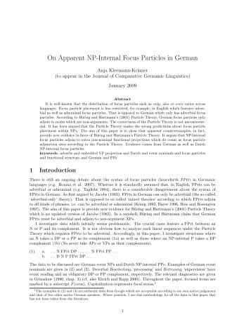 On Apparent NP-Internal Focus Particles in German