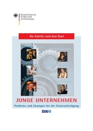 Junge Unternehmen. Die Schritte nach dem Start