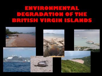 Environmental Degradation of the British Virgin Islands