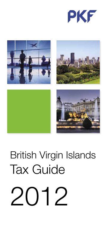 British Virgin Islands - PKF
