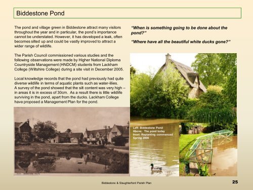 Grant Proposal for Project Name - Biddestone Village