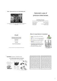 Optometric uses of precision tinted lenses, Paris, Jan