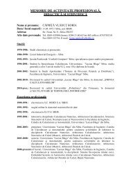 Model Memoriu De Activitate