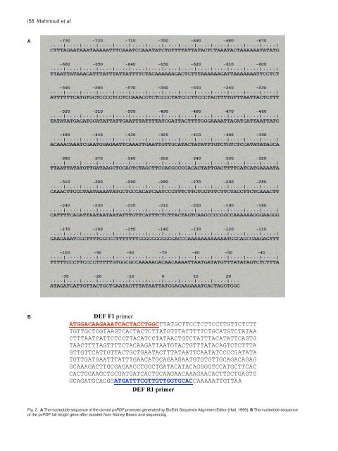 Cloning of a Novel Antifungal Promoter from Phaseolus vulgaris and ...