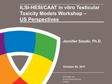 ILSI-HESI/CAAT in vitro Testicular Toxicity Models Workshop – US ...