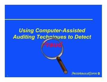 Using Computer-Assisted Auditing Techniques to Detect - Optimize ...