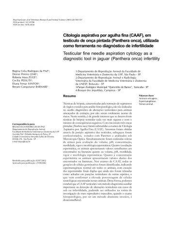 Citologia aspirativa por agulha fina (CAAF), em testículo de ... - USP