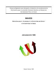 WAVES Jahresbericht 1998