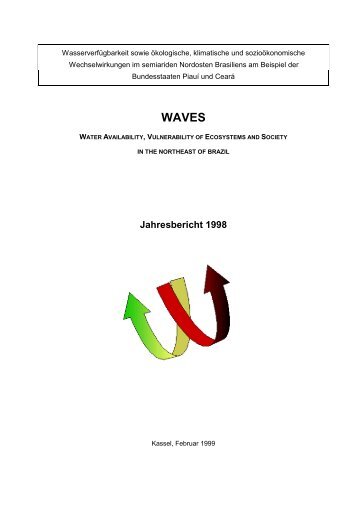 WAVES Jahresbericht 1998