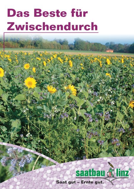 Zwischenfrchte knnen - Saatbau Linz