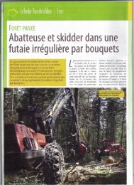 Abatteuse et skidder dans une futaie irrégulière par bouquets - Camox