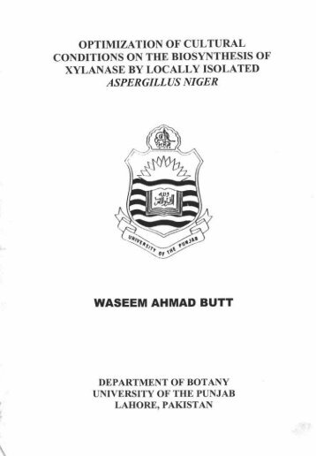 WASEEM AHMAD BUTT - Higher Education Commission