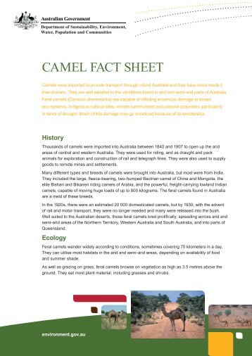 camel fact sheet - Department of Sustainability, Environment, Water ...