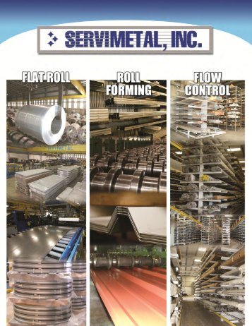 Download our Brochure now - Servimetal