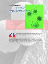 (em PDF)- Reino Stramenopila