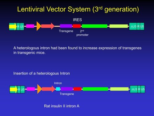 Lentiviral Vectors: design, production, and titration