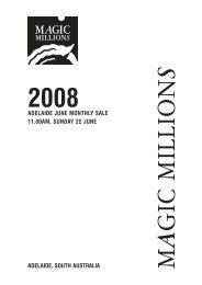 Adelaide June Monthly Sale - Magic Millions