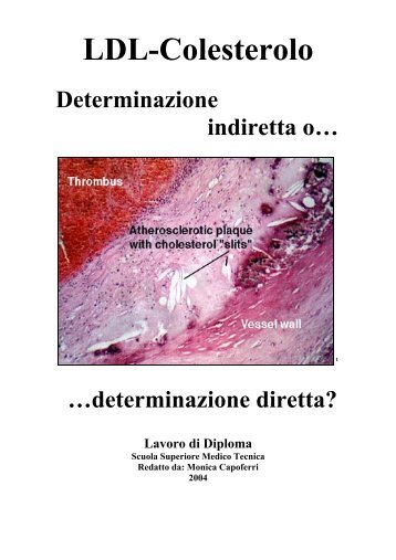 colesterolo determinazione indiretta o…