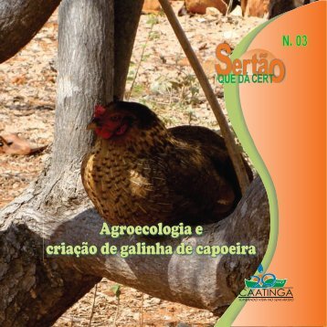 Agroecologia E Criação De Galinha - Caatinga