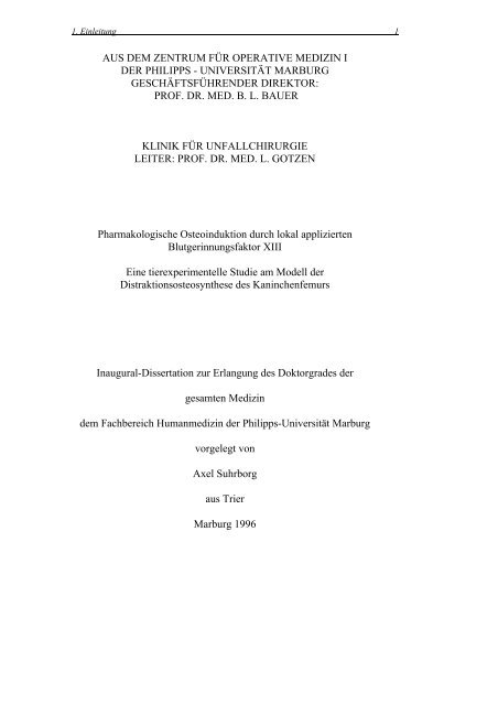 Phase der Osteoprogenitorzelleinwanderung und - Dr. Axel Suhrborg