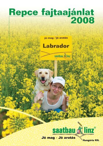 LABRADOR Hibridek „réme” - Saatbau Linz