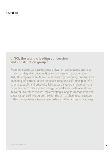 VINCI - 2008 annual report