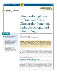 cryptosporidium felis sp. n. (protozoa eimeriorina) from the domestic cat