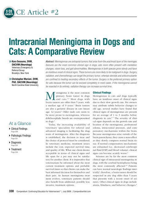 Intracranial Meningioma in Dogs and Cats: A ... - VetLearn.com - Life Expectancy Of Cats With Meningioma