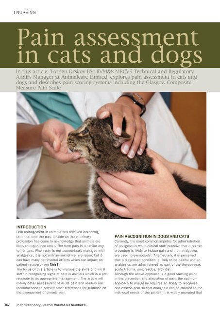 Pain assessment in cats