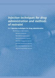 Injection techniques for drug administration and methods of restraint