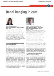 Renal Imaging in Cats. In: Veterinary Focus 18(2); 2008