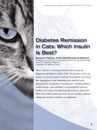 Diabetes Remission in Cats: Which Insulin Is Best? - VetLearn.com