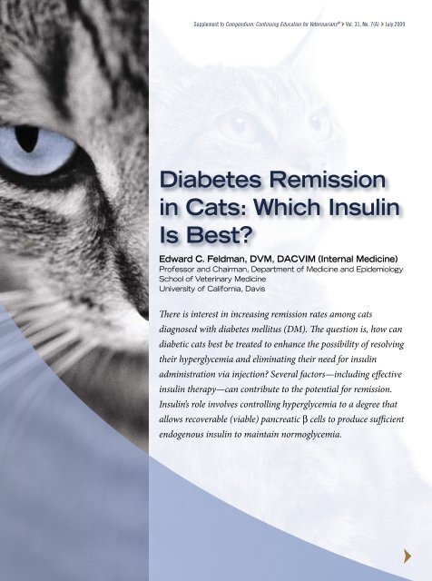 diabetes remission in cats forradalom a kezelés 1. típusú diabétesz