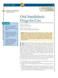 Oral Antidiabetic Drugs for Cats - VetLearn.com