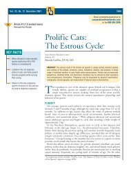 Prolific Cats: The Estrous Cycle* - VetLearn.com