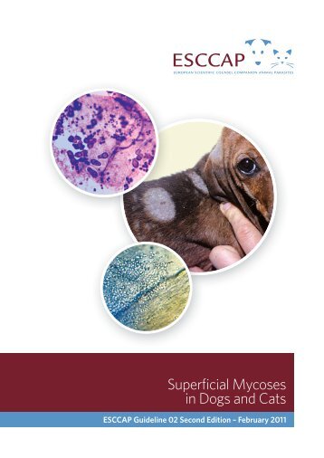 Superficial Mycoses in Dogs and Cats - ESCCAP