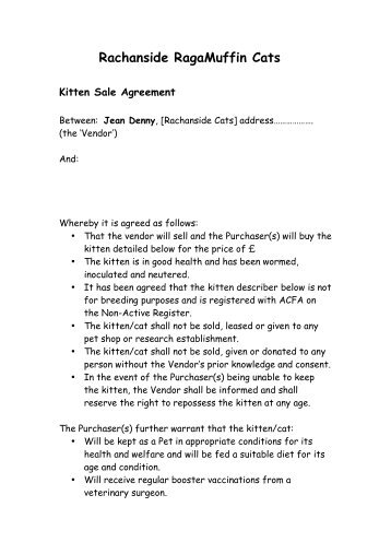 RagaMuffin kitten sale contract