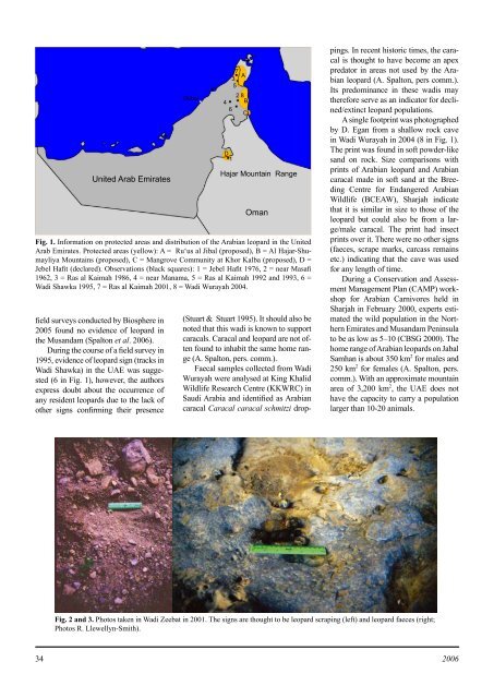 Status and Conservation of the Leopard on the Arabian Peninsula ...