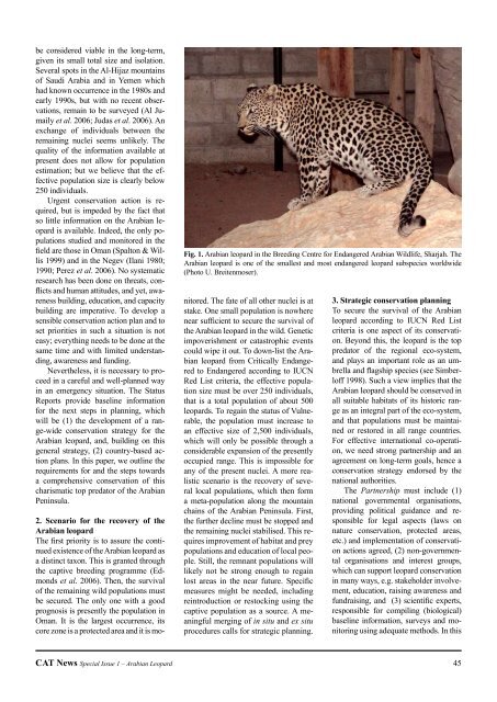 Status and Conservation of the Leopard on the Arabian Peninsula ...