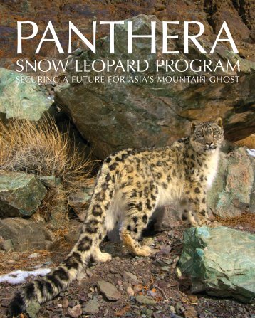 Snow Leopard Brochure - Panthera