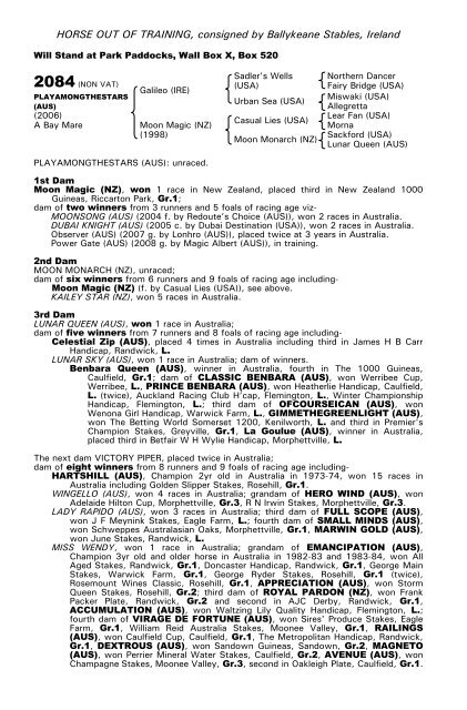 December Mare Sale - Tattersalls