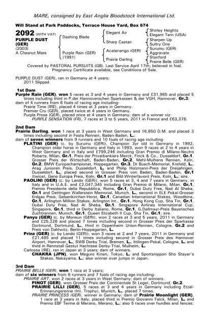 December Mare Sale - Tattersalls