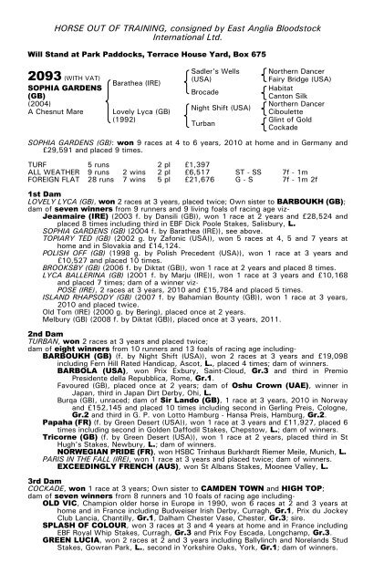 December Mare Sale - Tattersalls