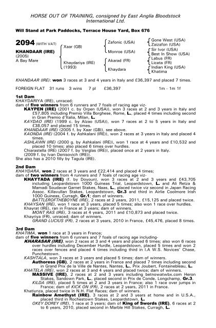 December Mare Sale - Tattersalls