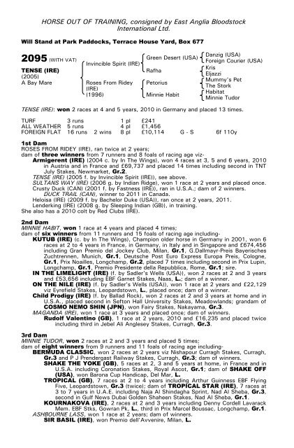 December Mare Sale - Tattersalls