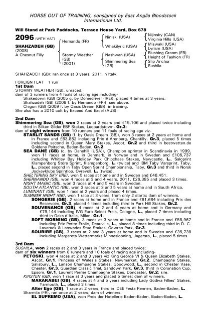 December Mare Sale - Tattersalls